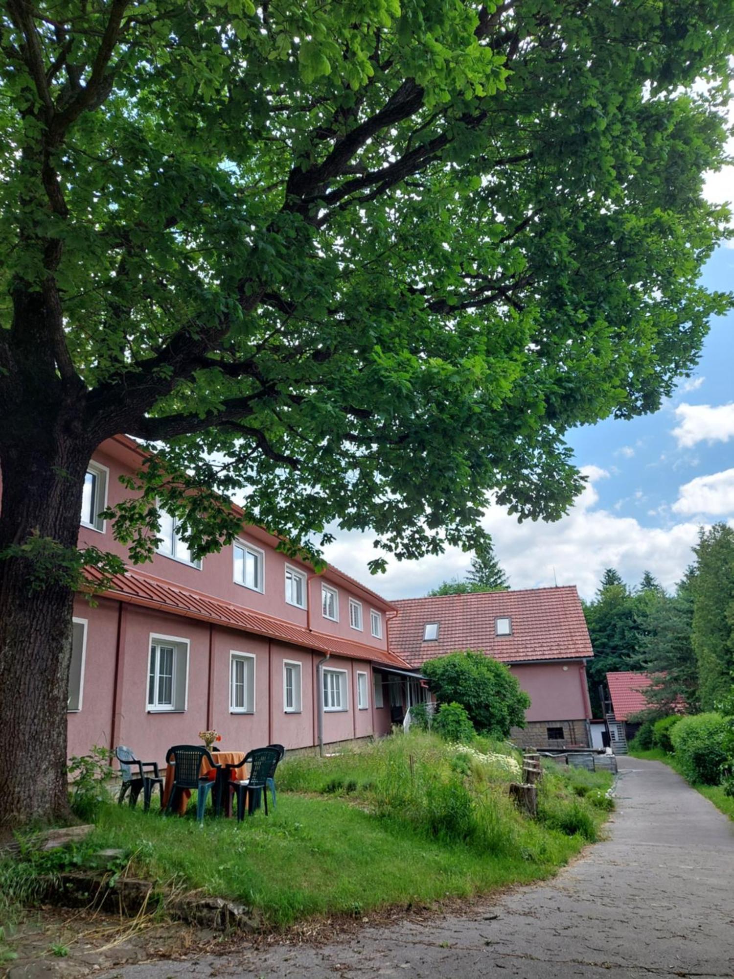 Monte Lope Hotel Bystrice pod Lopenikem ภายนอก รูปภาพ